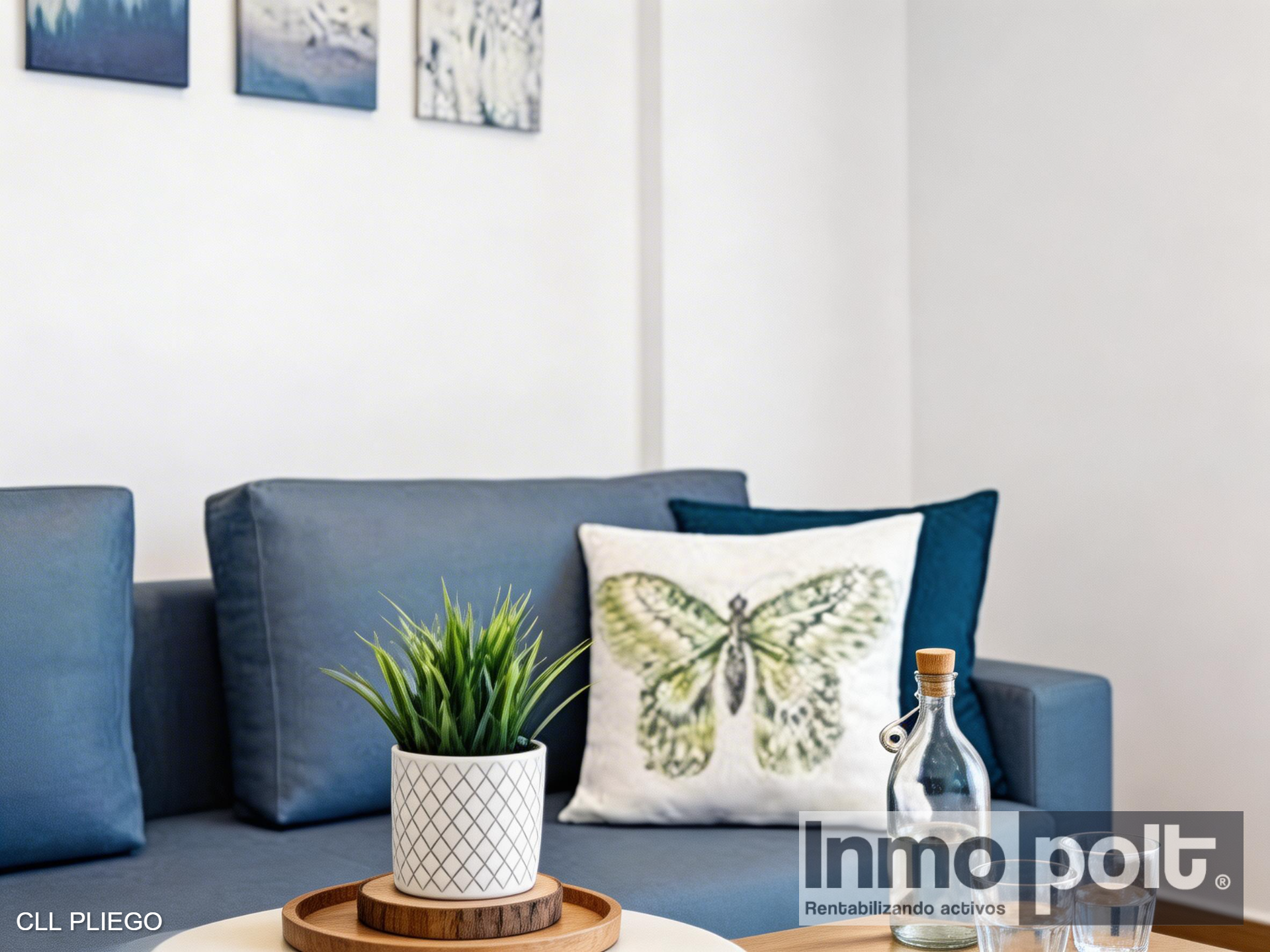 50081_CLL PLIEGO (5).jpg